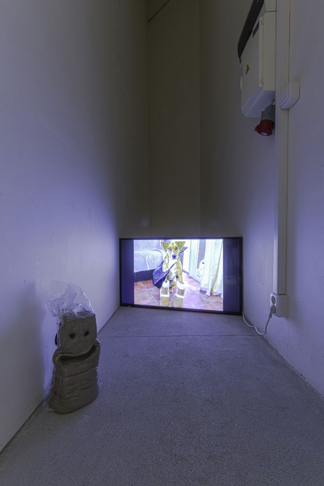 13_Beni_Bischof_DADS_KunstHalle_SanktGallen_2015.jpg (Kopie)
