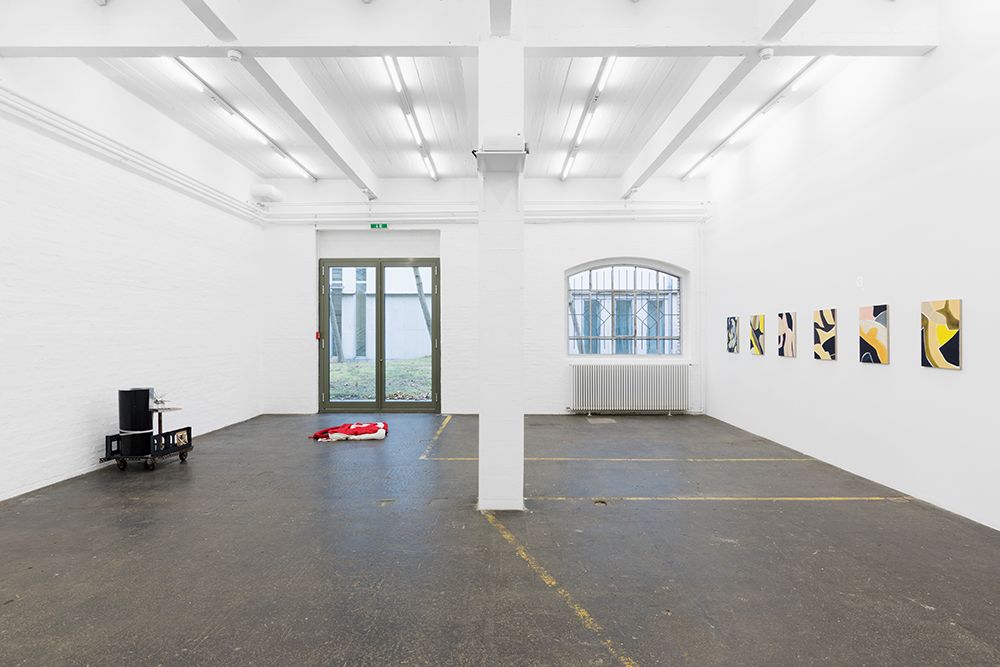 12_Vorisek_Troesch_Haliti_2016_KunstHalle_SanktGallen.jpg